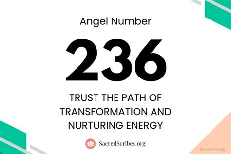 888 angel number sacred scribes|angel number 888 joanne.